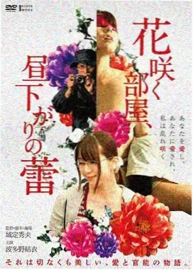 阳光灿烂的日子
